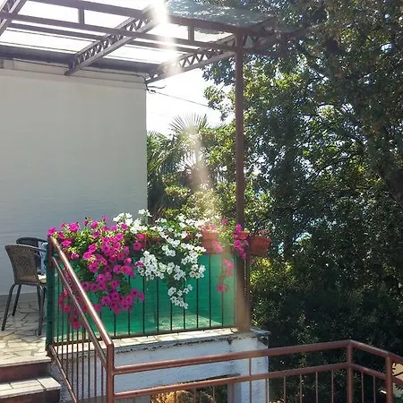 Apartman Meleh *