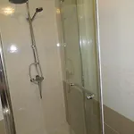 Meleh *