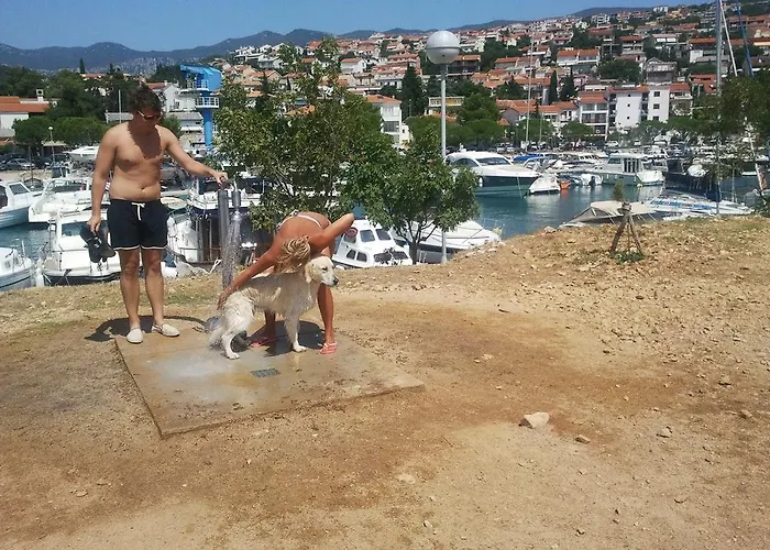 Apartman Meleh *